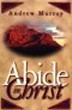 Abide in Christ